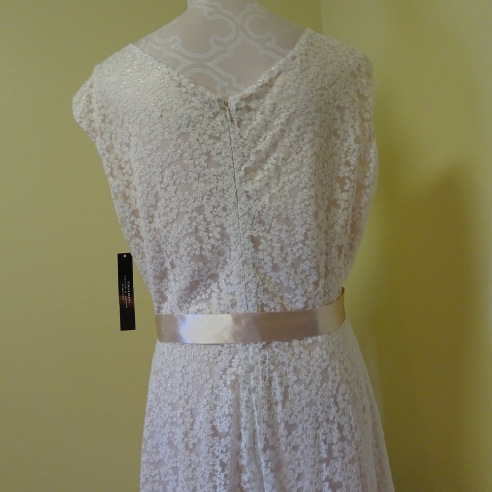 Ladies Size 14 Champagne Lace Dress-NEW - Picture 4 of 8
